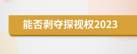 能否剥夺探视权2023
